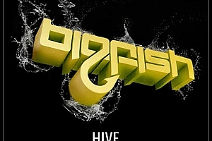 2023-03-26 主场BPM150 HARDSTYLE硬核向上颗粒互动冲冲冲实战思路(附串烧)