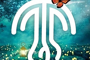 2024-12-28 中场小厅必备BOUNCE ID BPM130-135-140情绪上升 起伏线条思路.zip