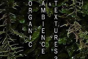 2025-06-22 主场商业纯英文BPM140 BOUNCE UFO 超实用思路