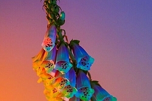 2025-07-18 主场顶级韩风小厅私改MASHUP TPA130 KOREA BOUNCE 蹦迪必备思路(附点位图)